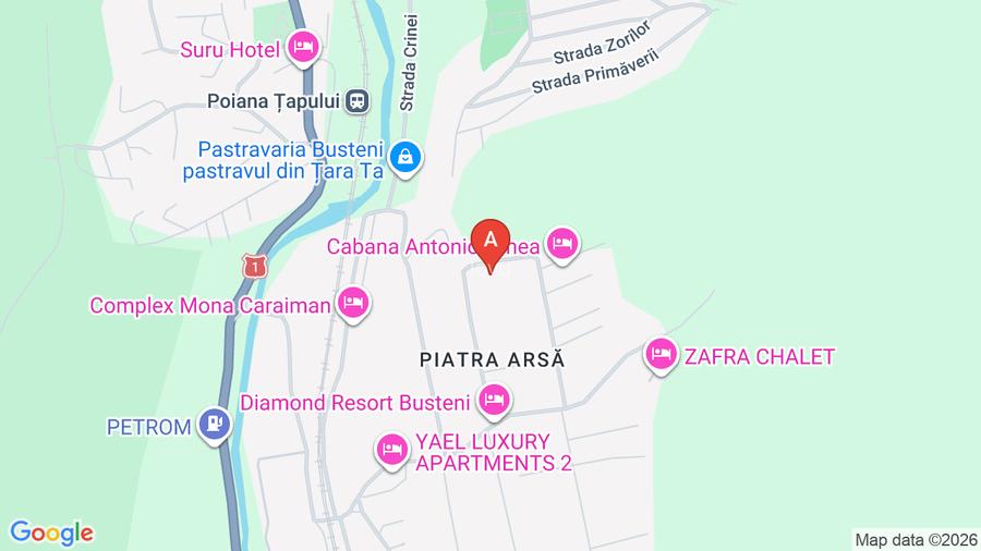 Vand vila eleganta, Busteni, vedere Cruce Caraiman, toate utilitatile - 12