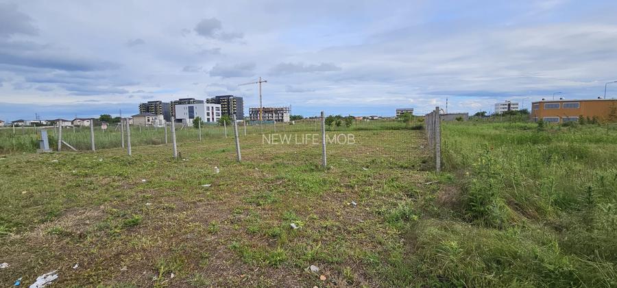 Teren veterani / 500 mp / deschidere 19,66 - 5