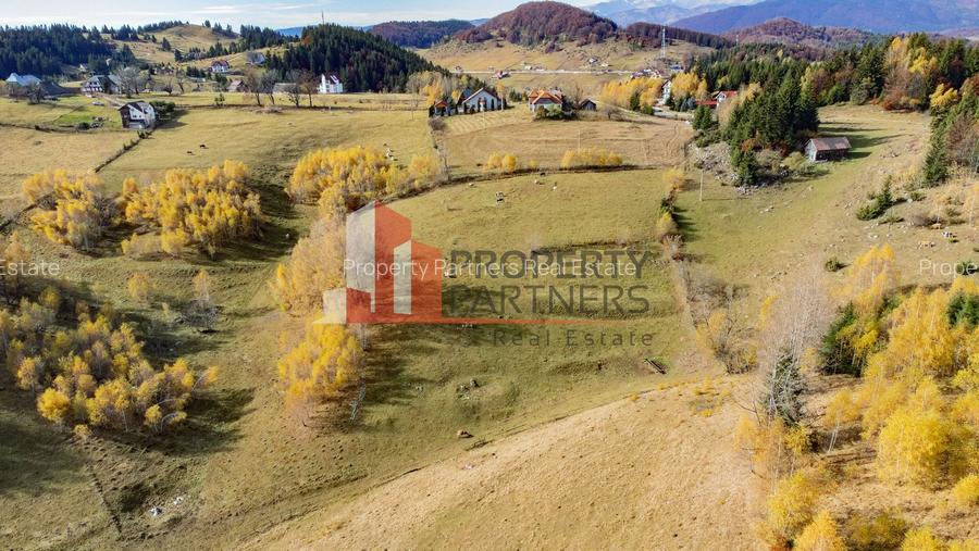 Teren cu PUZ aprobat Fundata / priveliste superba - 9