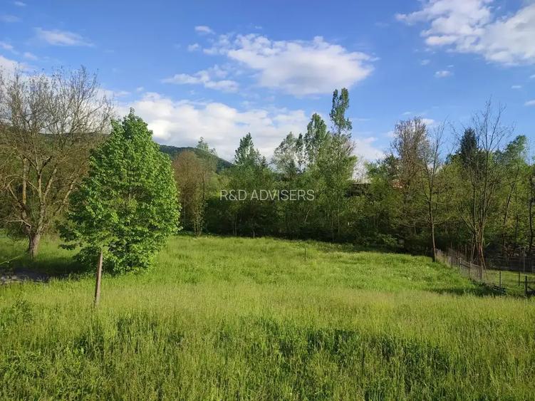 TEREN DE VANZARE IN ZONA DE DEAL  | SULTANU | VISINESTI - 3