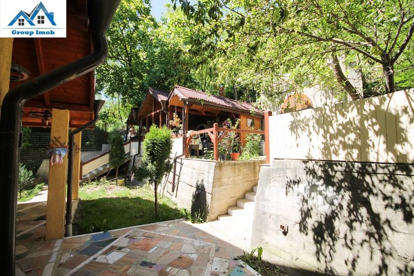 Vila pentru pretentiosi - Serbanesti - 18