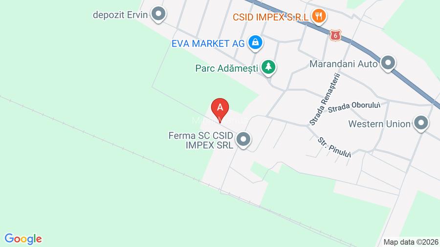 Casa mica demolabila - 2