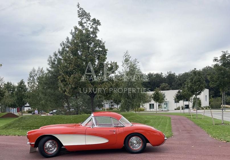 Dumbrava Vlasiei – Armonie între design, lumină și natură - 11