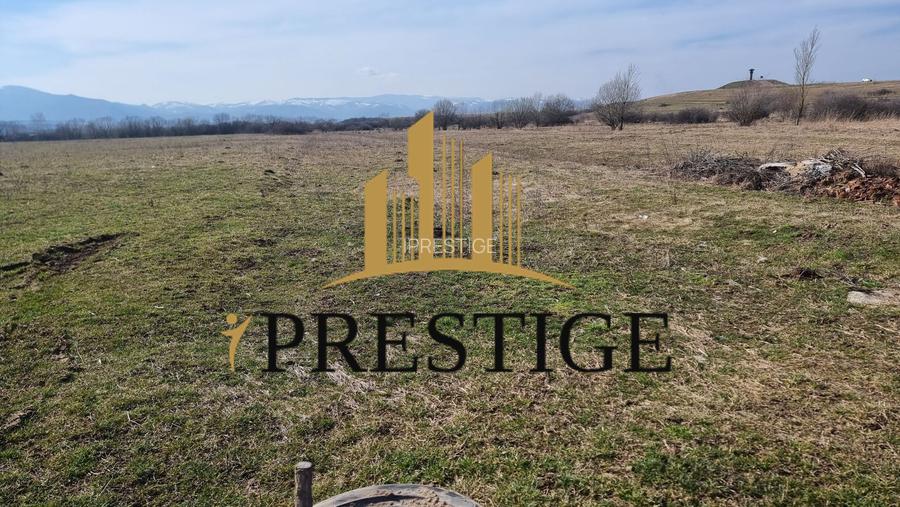 TEREN DE VÂNZARE 1000 MP ȘELIMBĂR ZONA TROIȚĂ | INVESTIȚIE - 11