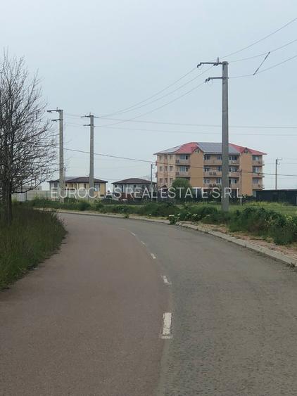 Teren 17.000mp Costinesti - zona Manastire - 100 euro/mp (Cod E2) - 8