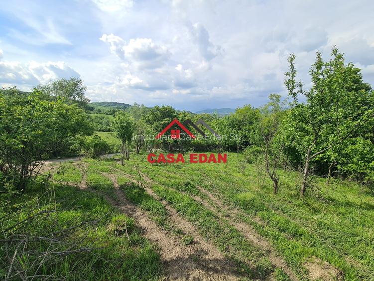 Teren intravilan in Poiana Campina--1954mp--23.500e - 2
