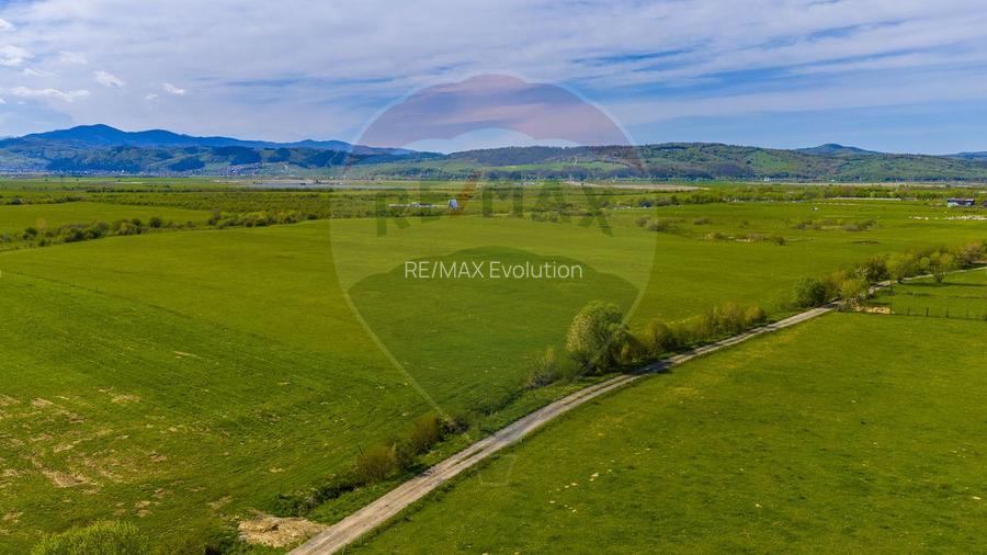 Teren 3000mp de vânzare în Râșnov / Pănicel - 9