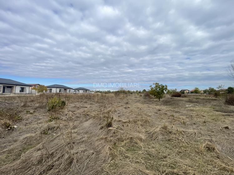 Domnești, Drumul Târgului, teren 1876 mp, 66ml x 28 ml, se poate parcela - 2