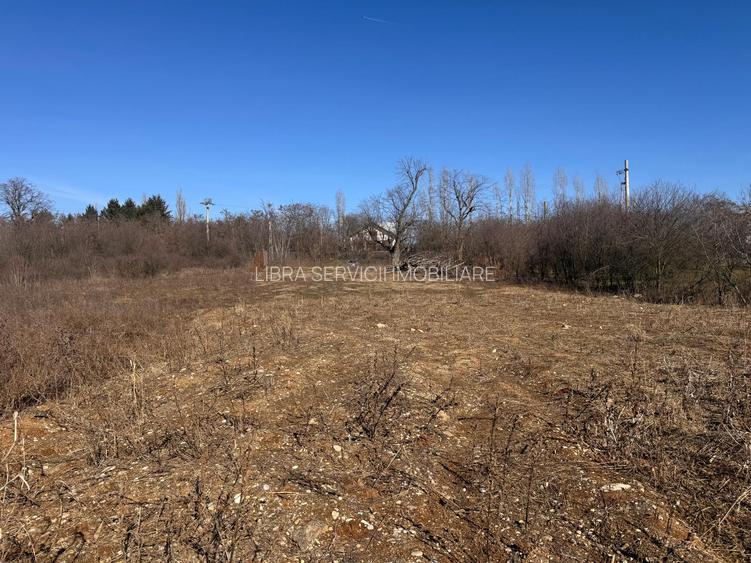 Periș, sat Brătulești, teren intravilan cu deschidere la lac - 4