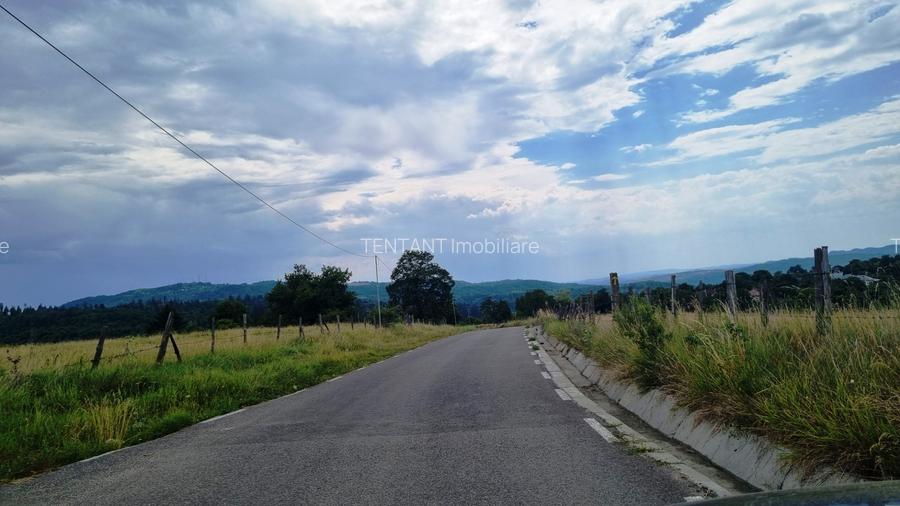 Vanzare Teren  construibil 5700mp Campul Lung Muscel - 8