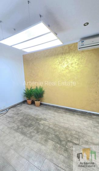 Piata Victoriei sediu ideal It /Clinica/ Cabinete - 20