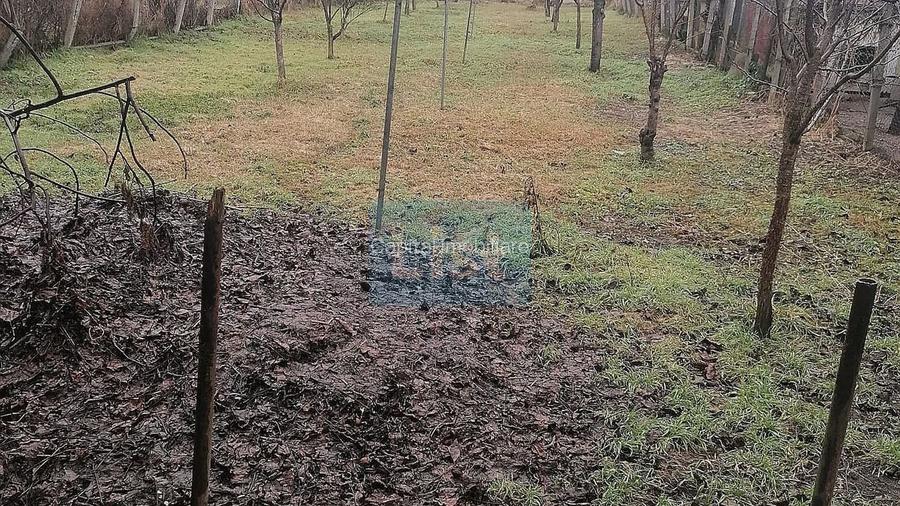 Casă familiala zona centrală Turda,teren 895mp, fără comision!!!  - 13