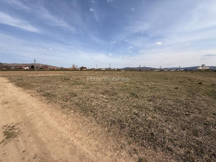 TEREN INTRAVILAN DE VANZARE, 587 MP ZONA AREX, ALBA IULIA - 2