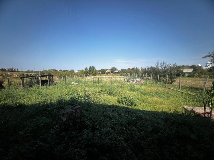 Casa in Ianculesti - 6