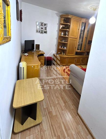 Garsoniera Micalaca Orizont - 6