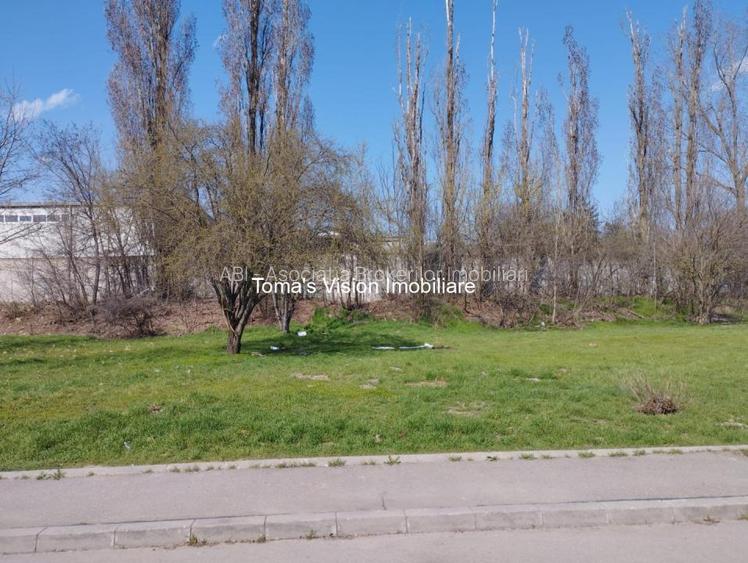 Vanzari Terenuri ILFOV - SUD 1 DECEMBRIE - 3