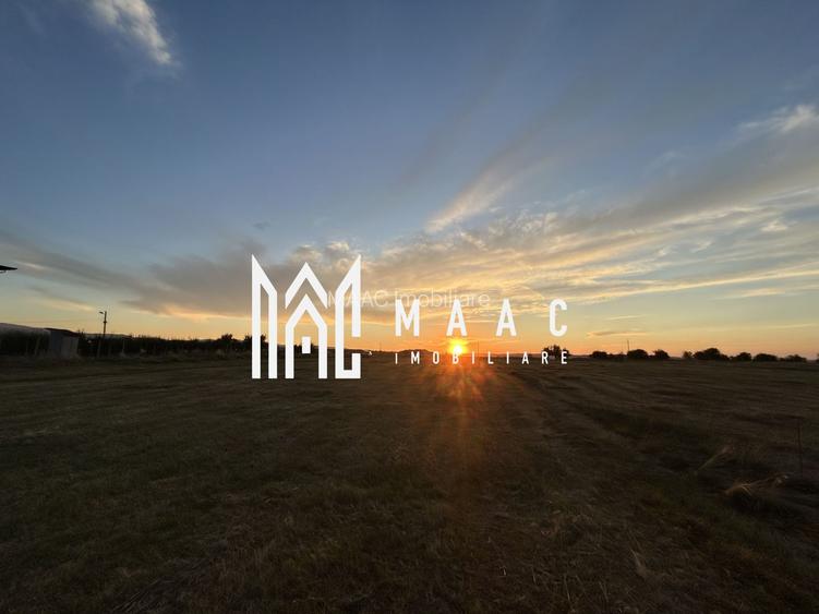 Teren Intravilan  I 16500 MP |  Priveliște Panoramică | Turnișor - 2