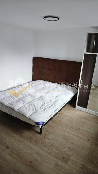 Apartament 2 camere la casa, Strada Karl Lehmann - 5