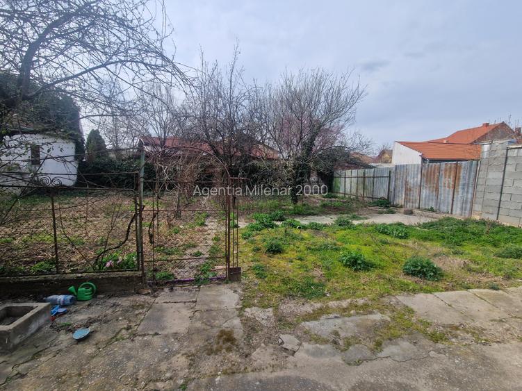 Casa situata in zona Blascovici, pe frumoasa strada Maslinului - 9