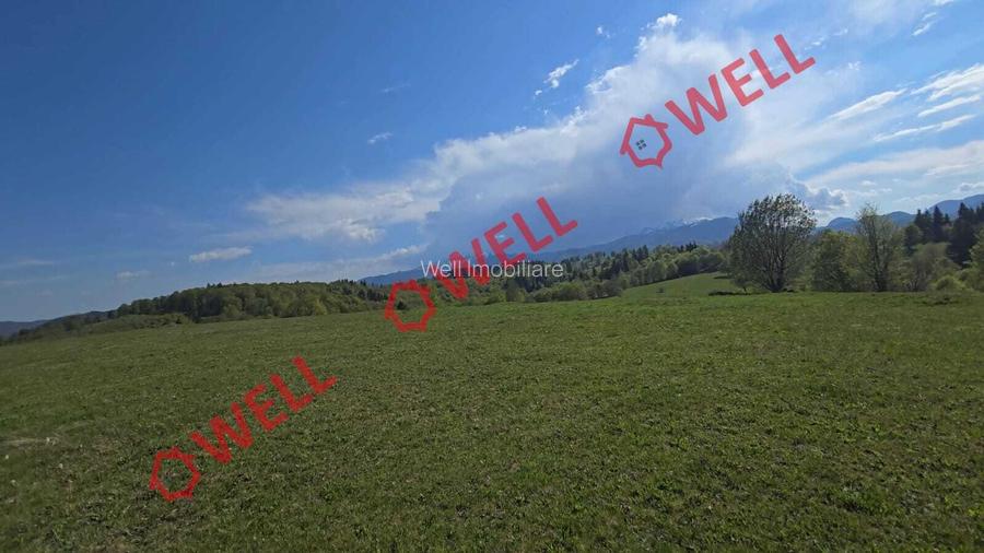 De vânzare 2 terenuri extravilane în localitatea Vama Buzăului!
