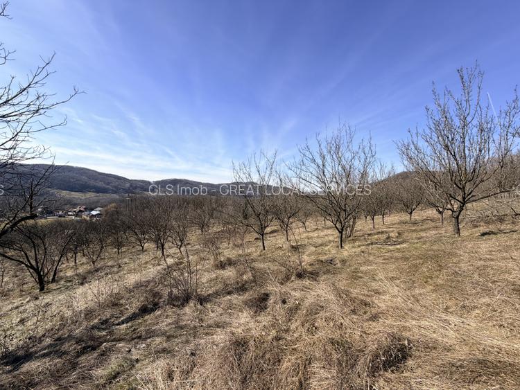 Refugiu Exclusivist Prahova Casa cu 5.2 ha, Panorama Parau si Potential Turistic - 43