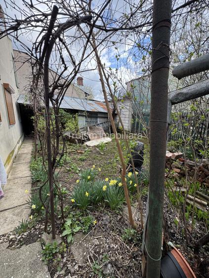 Imobil plus teren 400 mp - Strada Nicopole - 3