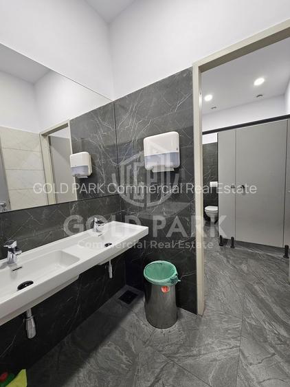 Spatiu de Birouri-Clasa A-Zona Centrala-Suprafete intre 110-700 mp - 9