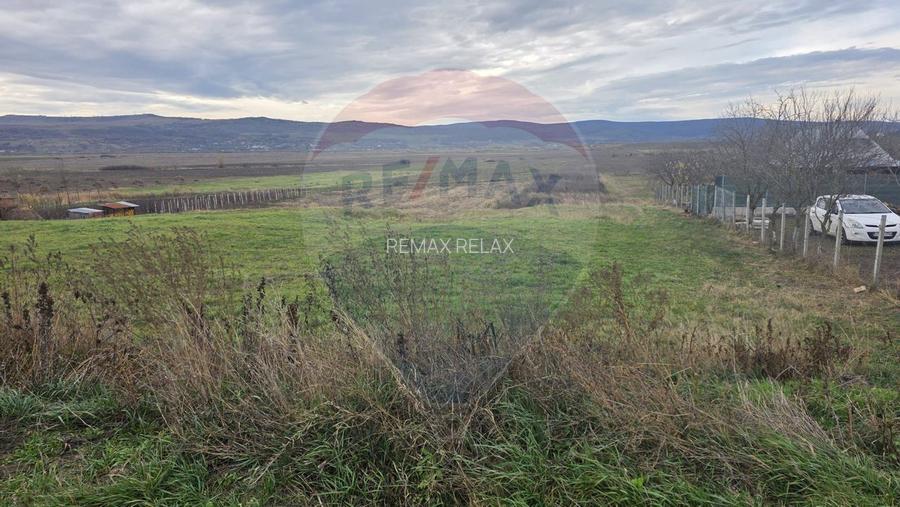 Teren intravilan si extravilan 8,282mp oras Negresti, judetul Vaslui - 8