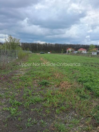 Teren 5600 mp deschidere Lac Snagov 32ml - 2