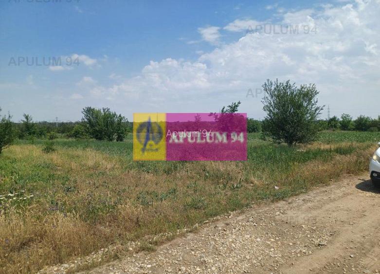 Săbăreni, teren 12620 mp pentru case, lângă pădure - 5