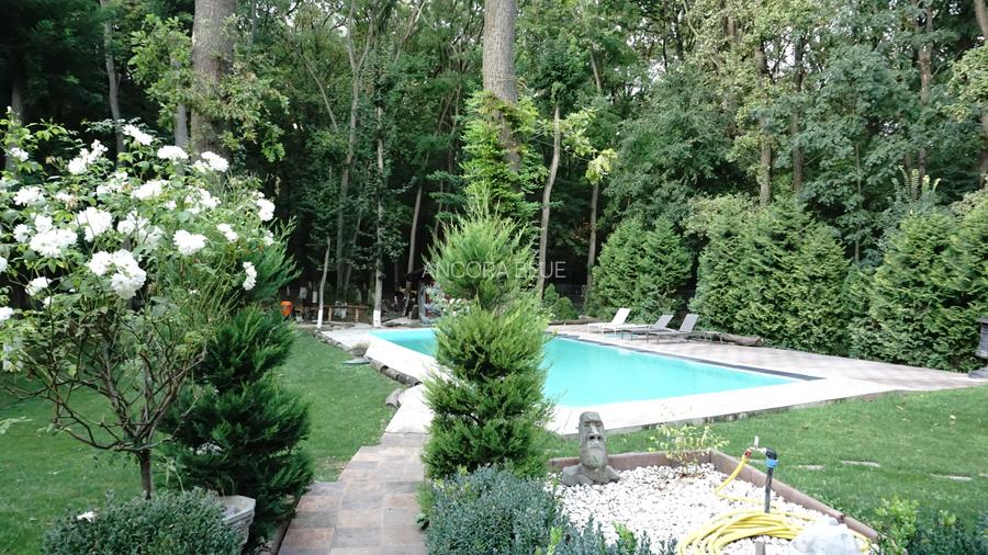 Vila superba in Padurea Baneasa, curte 5000 mp, piscina exterioara - 37