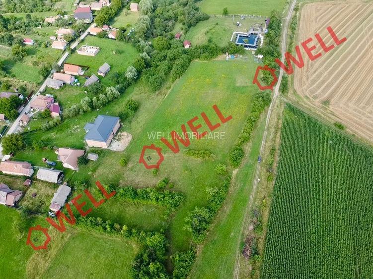 Teren intravilan de vânzare în Dalnic! - 6