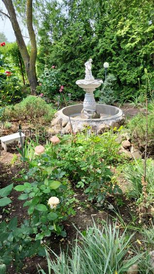 Casa P+M  5 camere + o garsoniera Jud Teleorman  la 49 km de Bucuresti - 2