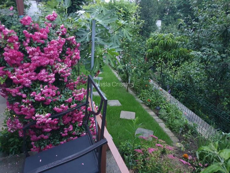 Casa cu gradina #pret negociabil # singur in curte - 13