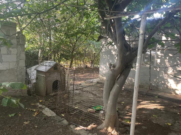 Casă cu 3 apartamente separate, ideală investitie pentru închiriere - 3