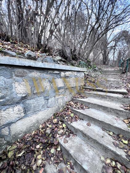 Conac Istoric de Vânzare Cluj ,Central – Locuință Deosebită cu Teren Generos - 5