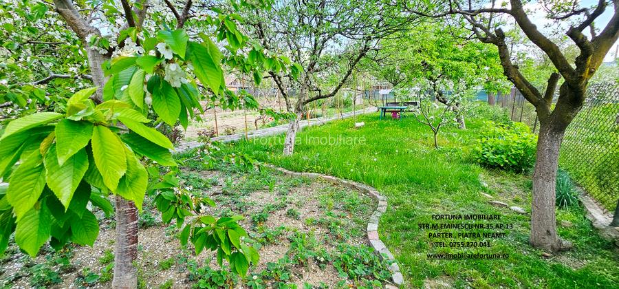 Proprietate Piatra Neamt- Vila cocheta cu garaj, beci si teren - 18