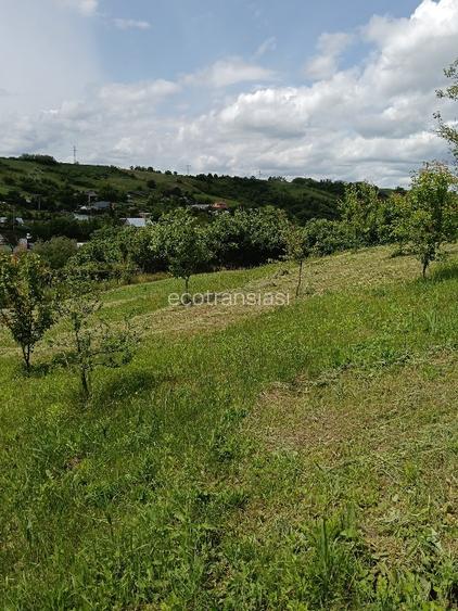 Teren intravilan Vorovești  - 5
