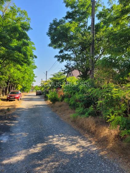 Teren intravilan intre case - 2079 mp - Movilita - 2