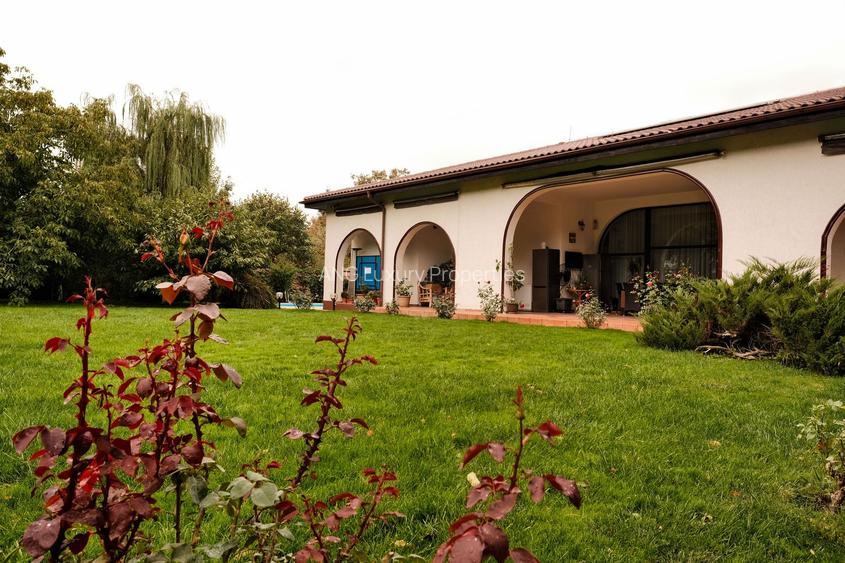 Refugiu toscan la marginea pădurii din Corbeanca, piscină și teren generos - 14