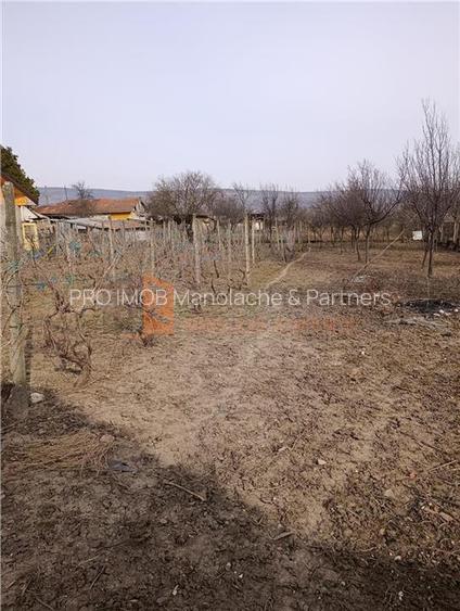 Casa tip parter zona Ulmeni - 15