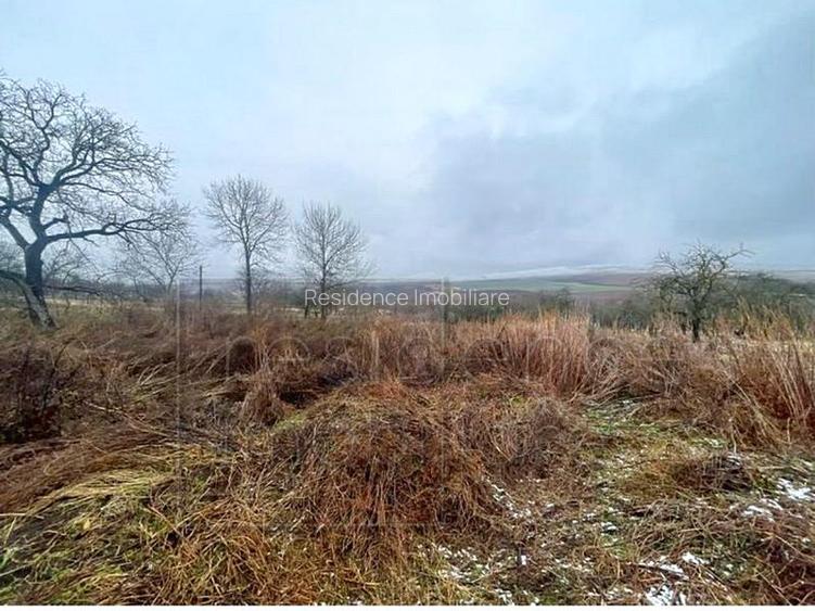 Teren 3200 mp! Casa 2 camere+bucatarie de vara+grajd, Aiton - 9