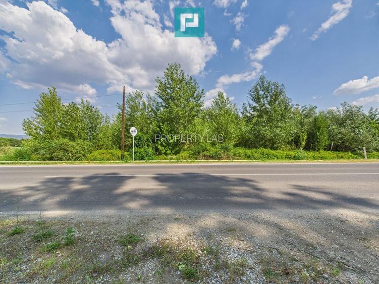 Teren extravilan de 5.219 mp în Geoagiu la șosea - 3