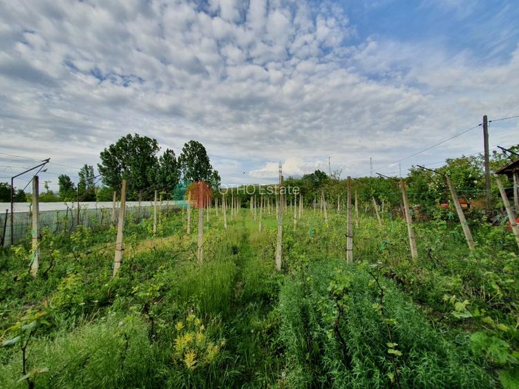 Casa Cujmir Mehedinti | Situata la strada  | Teren 2038 mp|Canalizare - 16