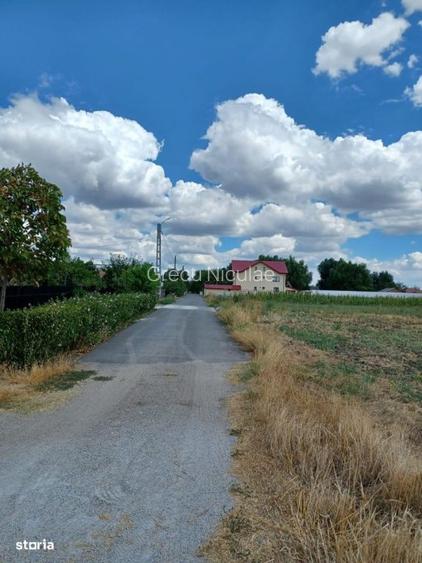 Vând teren intravilan – Crivăț, Călărași - 3