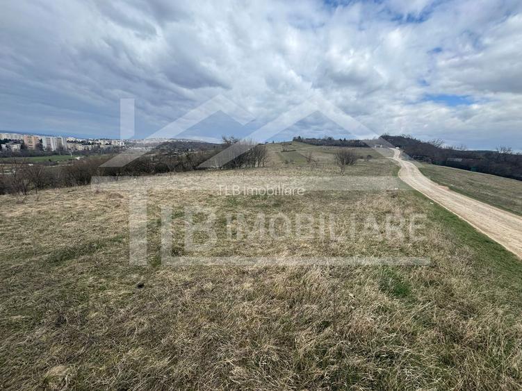 Teren, 786 mp, intravilan, Zona Belvedere - 4