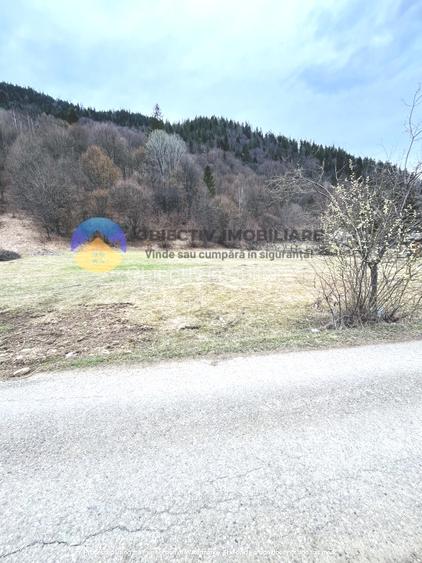 TEREN zona de munte TARCAU - 2