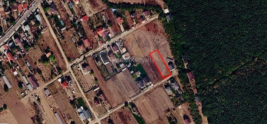 De vanzare Teren intravilan 1000 mp, langa padure, Moara Vlăsiei - 3