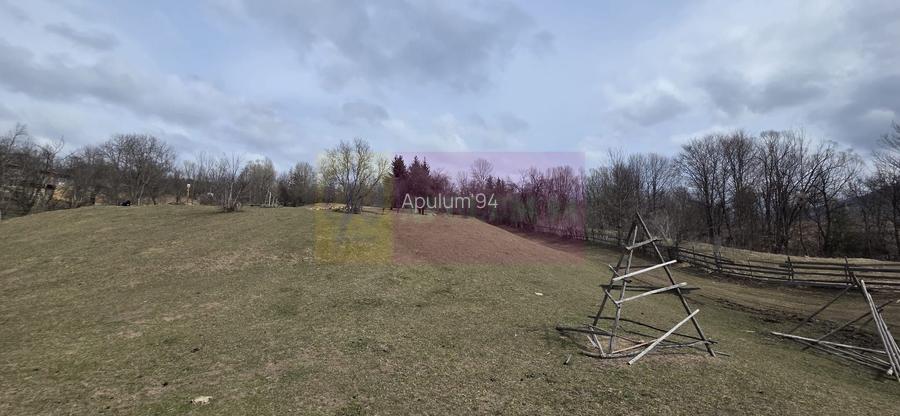 Teren intravilan 2200 mp de vanzare in Valea Doftanei - 2