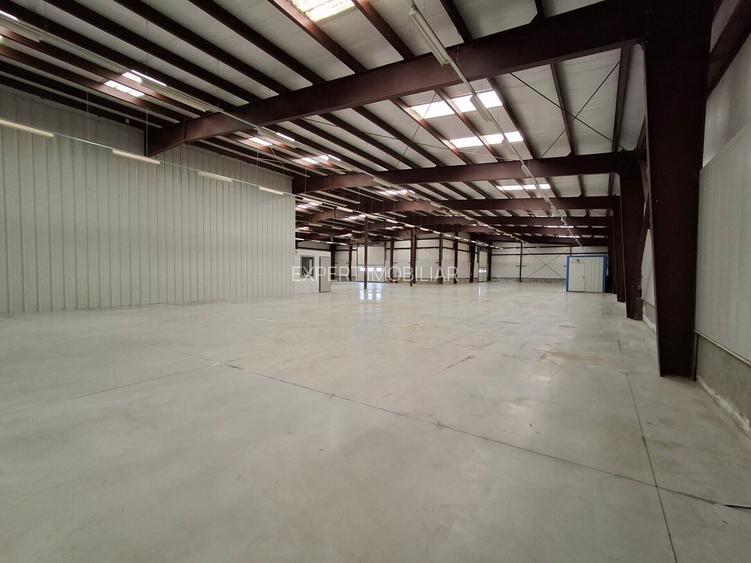 Hala productie /depozitare spatii cazare Branesti/Makita - 17